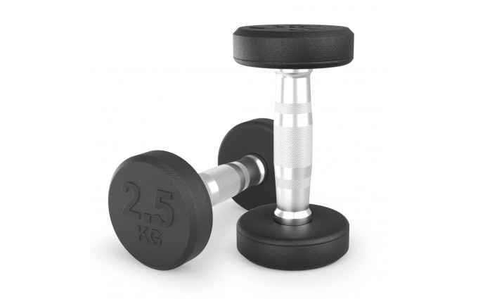 Гантель UNIX Fit PRO круглая обрезиненная 2,5 кг, 2 шт.